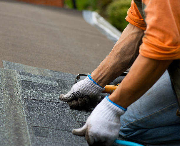 Roof Gutter Cleaning in Wyoming, IL