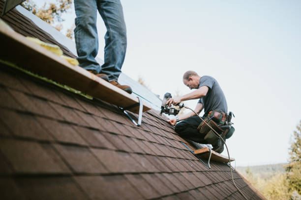 Best Roof Waterproofing Services  in Wyoming, IL