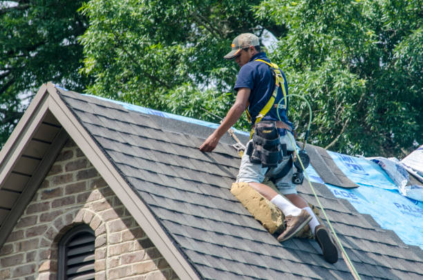 Best Roof Repair Services  in Wyoming, IL
